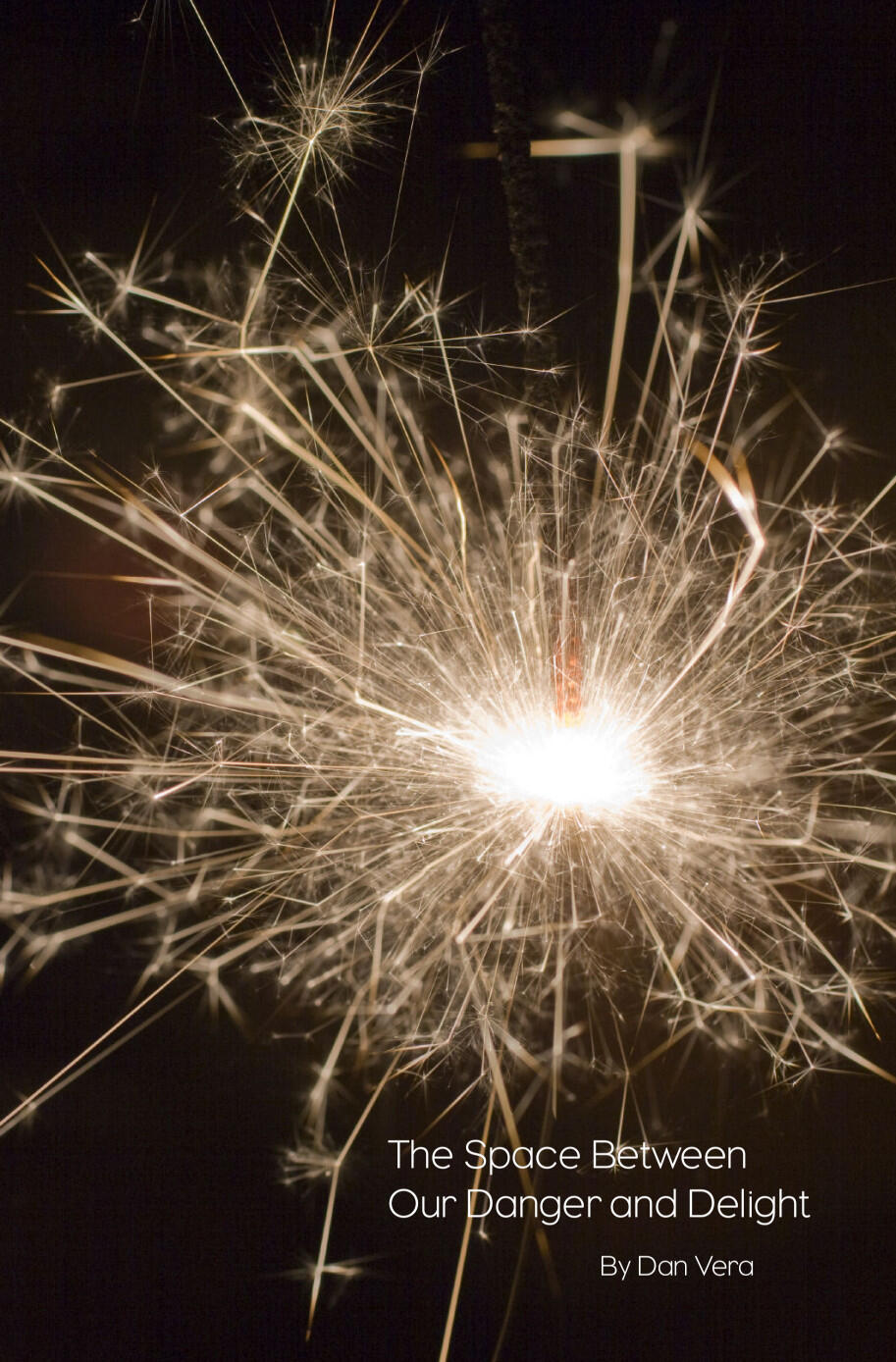 Space Between Our Danger and Delight by Dan Vera